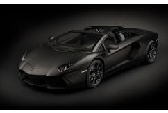 Pocher 1/8 Lamborghini Aventador Roadster Nero Nemesis Kit image