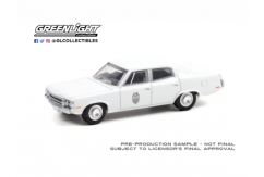 Greenlight 1/64 AMC Matador image